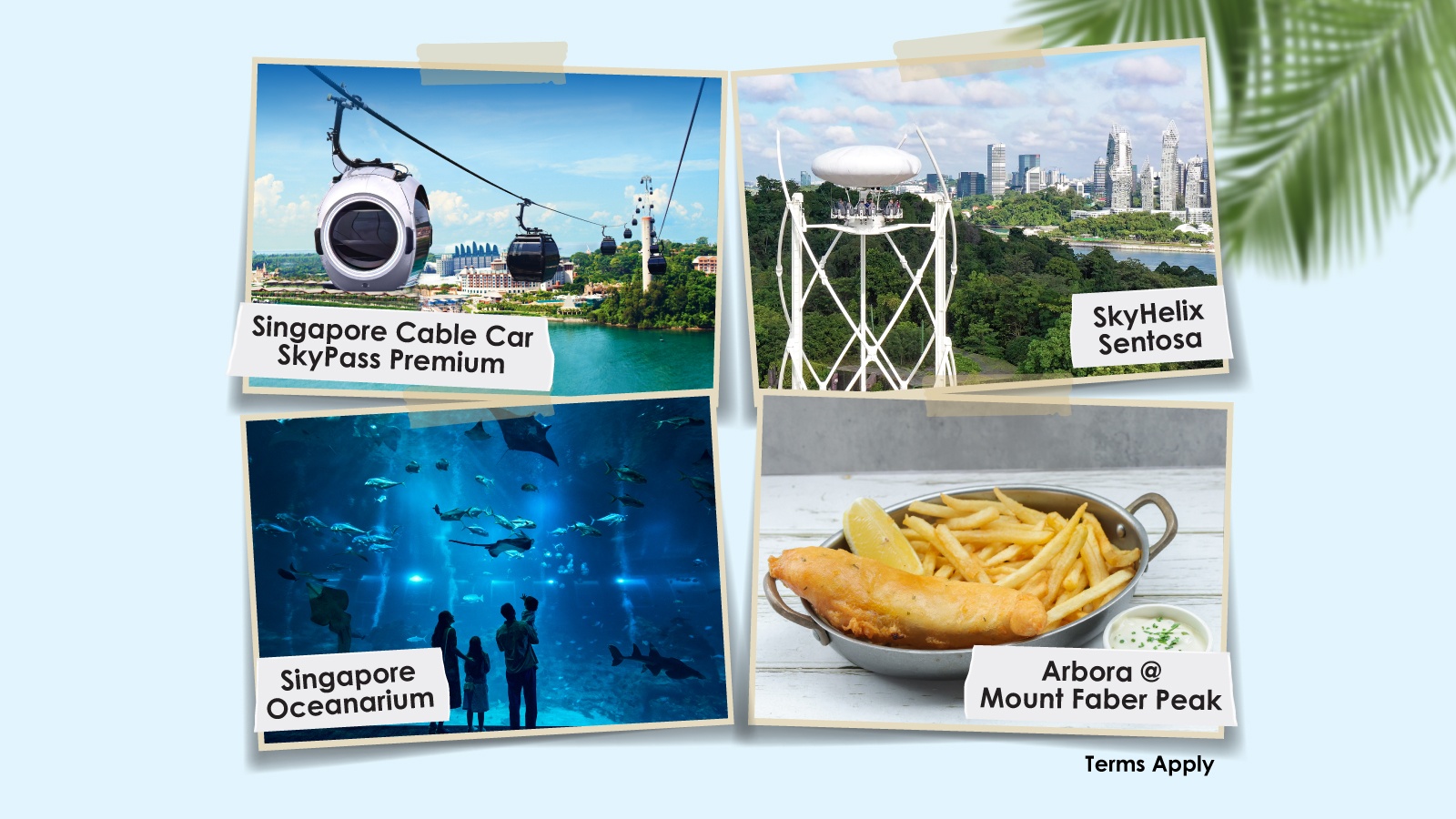 Singapore Cable Car and RWS Packages