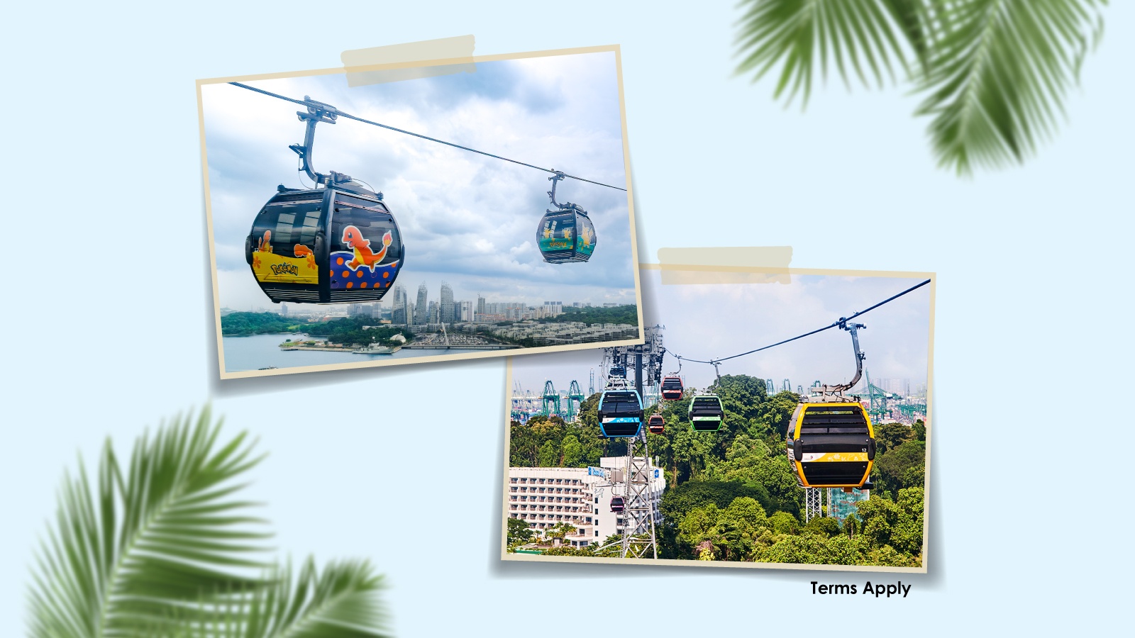 SkyPass (Round Trip)