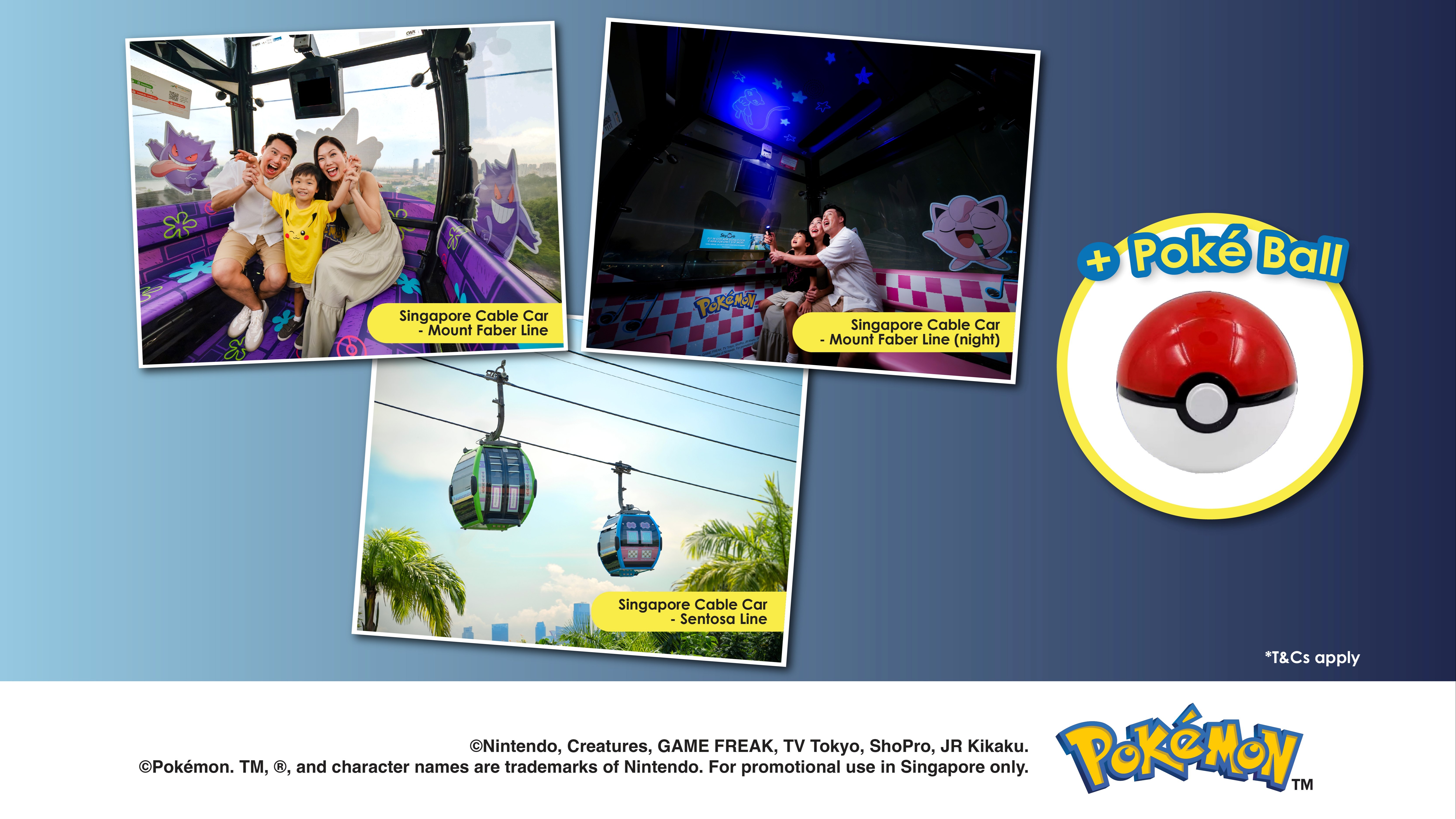 SkyPass (Round Trip) + Poké Ball