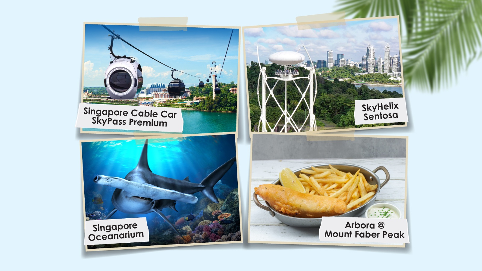 Half Day Plans with SG Oceanarium
