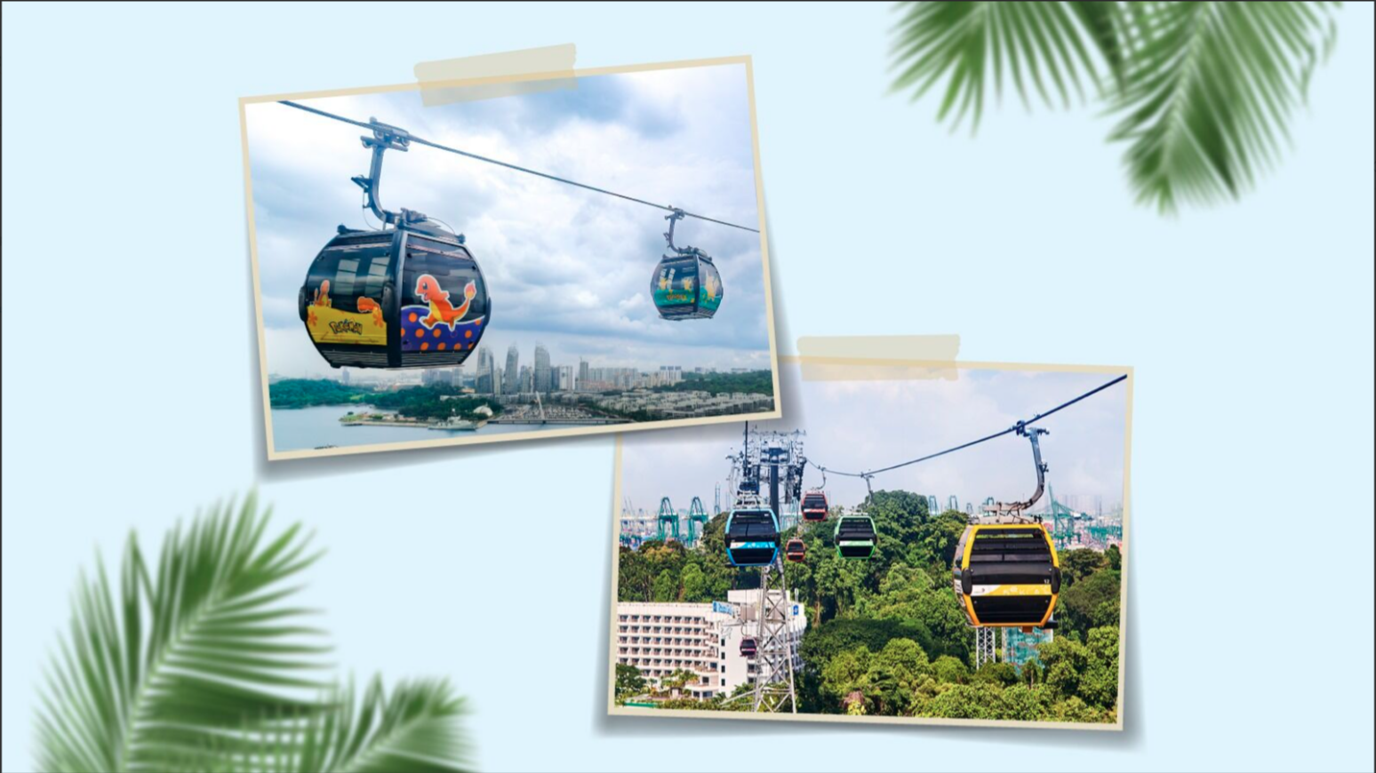 SkyPass (Round Trip)